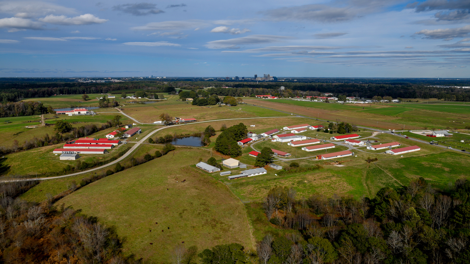 aerial view of the Lake Wheeler Road Field Laboratory