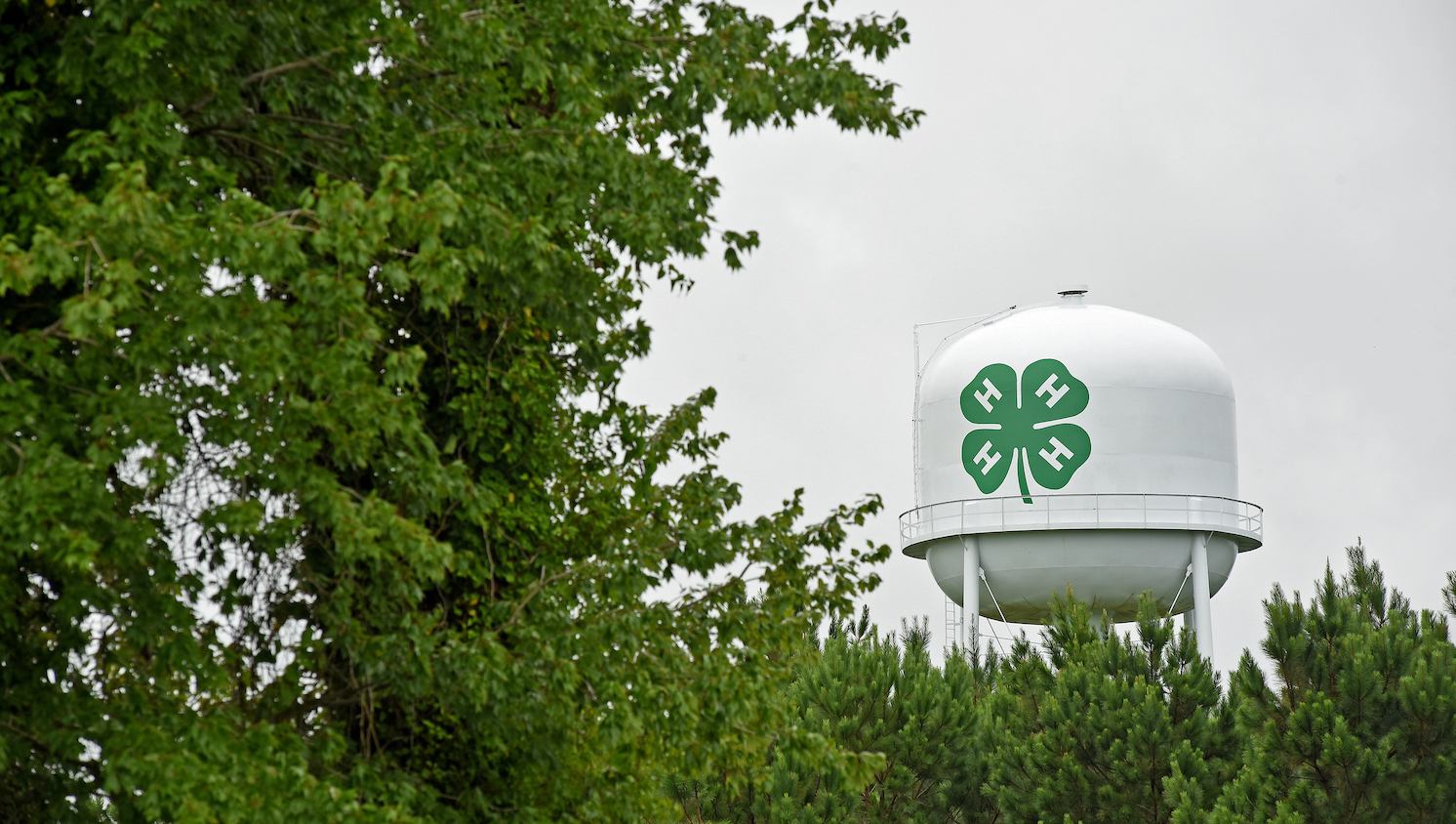 Eastern 4-H Camp water tower.