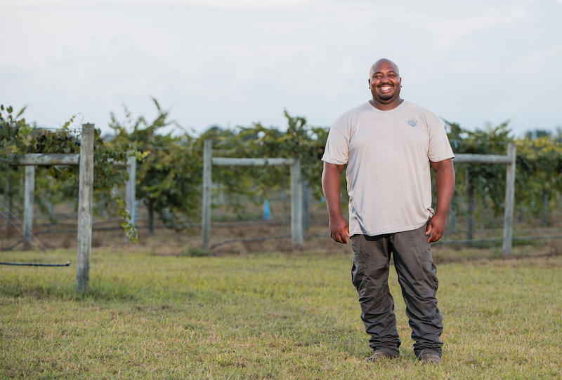 Davon Goodwin on his muscadine grape orchard near Laurinburg. 