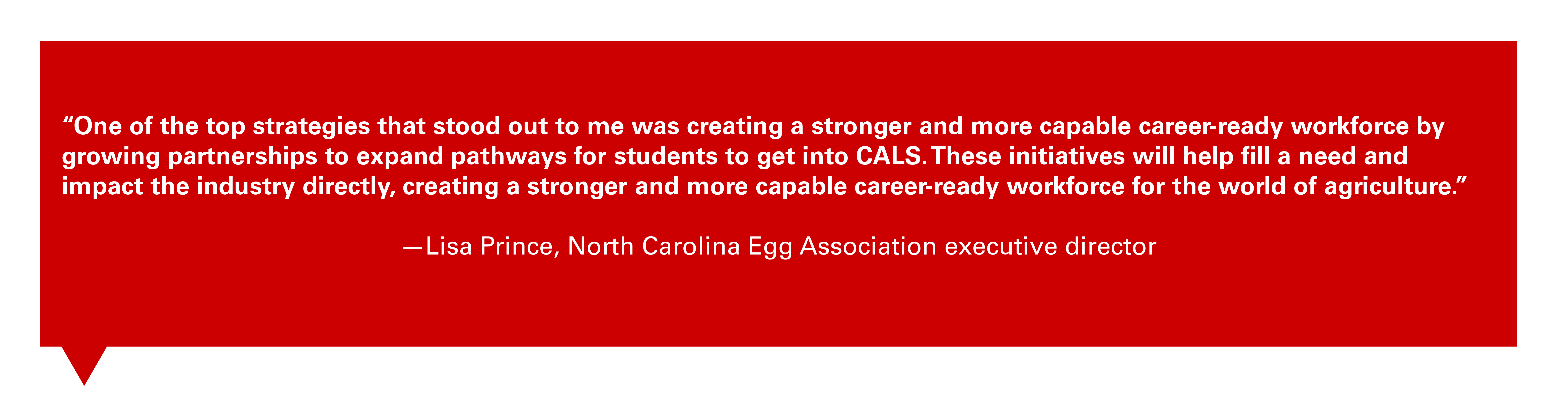 Quote from Lisa Prince, North Carolina Egg Association executive director: "One of the top strategies that stood out to me was creating a stronger and more capable career-ready workforce by growing partnerships to expand pathways for students to get into CALS. These initiatives will help fill a need and impact the industry directly, creating a stronger and more capable career-ready workforce for the world of agriculture."