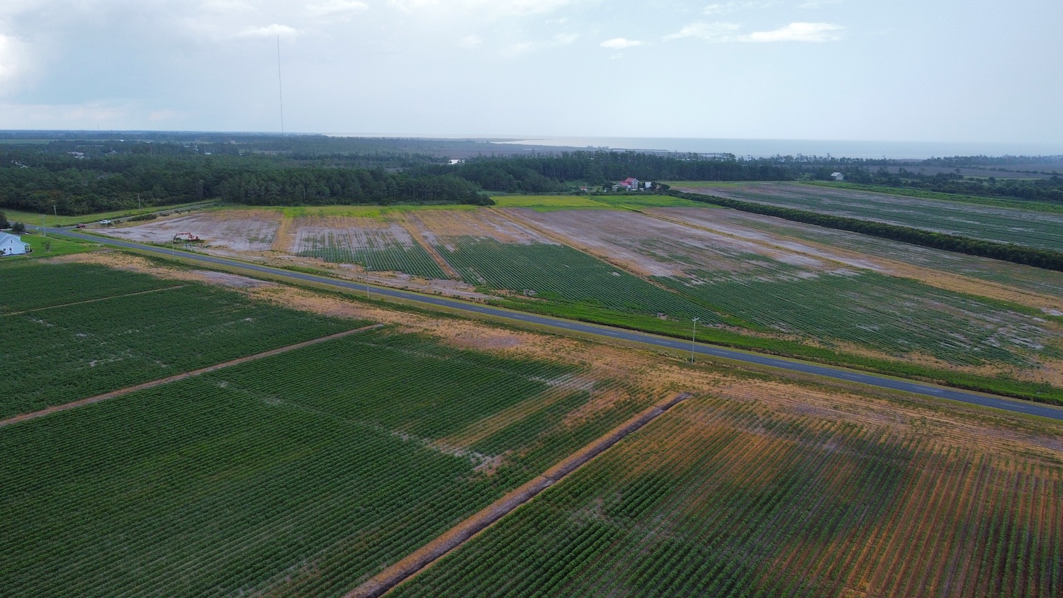 aerial view of soybean fields affected by saltwater intrusion