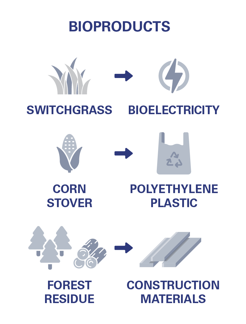 Bioprocessing graphic shows how switchgrass turns into bioelectricity, corn stover turns into polyethylene plastic, and forest residue turns into construction materials. 