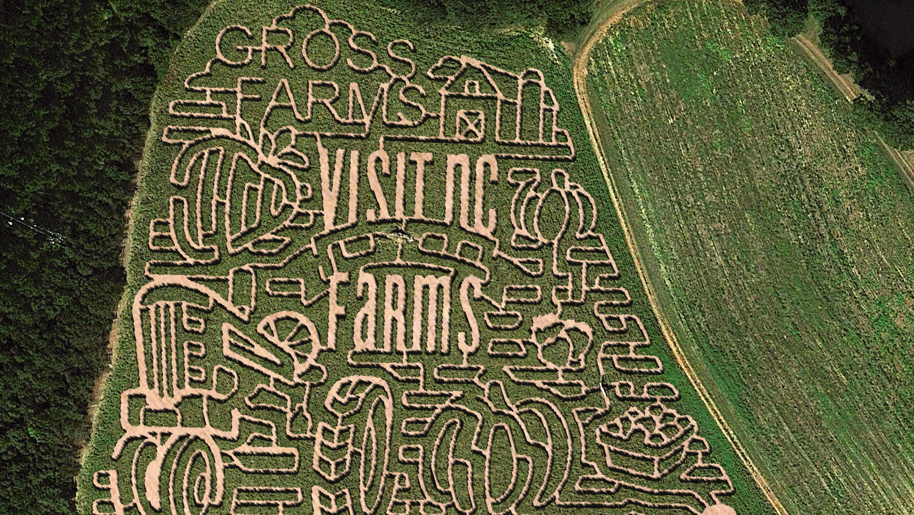Aerial view of corn maze