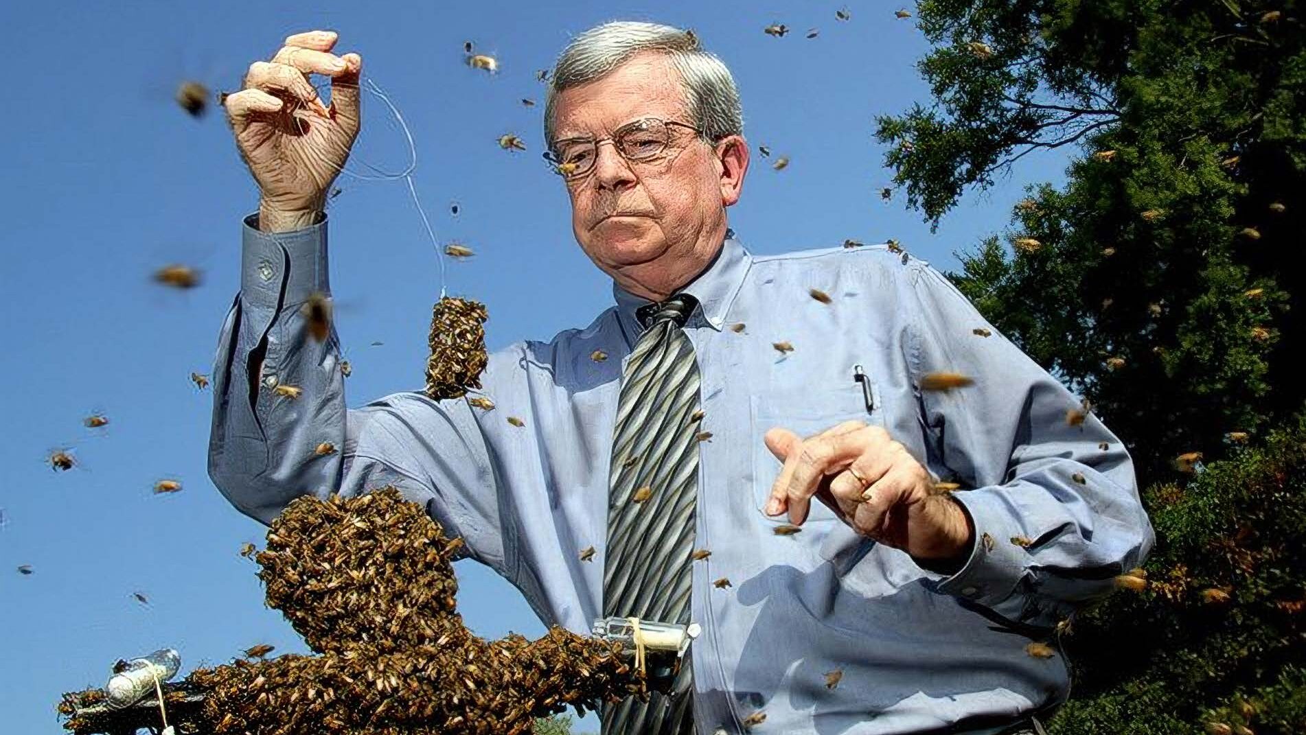 John Ambrose stands outside holding a mass of bees