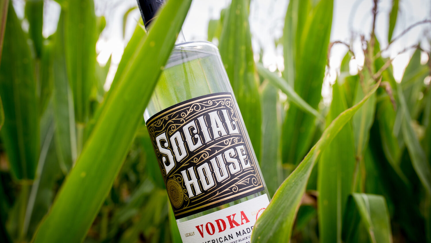 A bottle of social house vodka in a corn field.