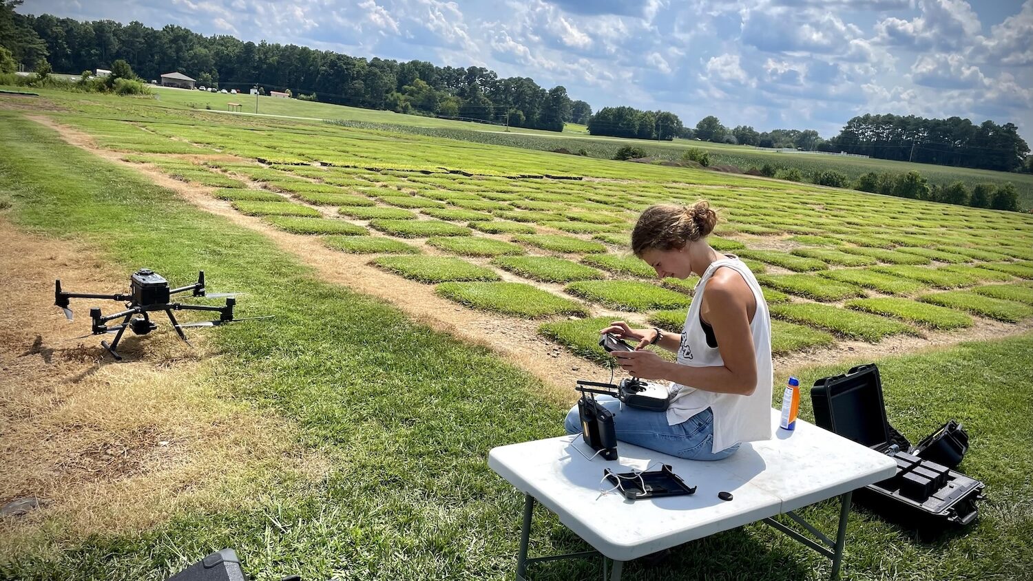 student operates a drone for analyzing turfgrass field plots