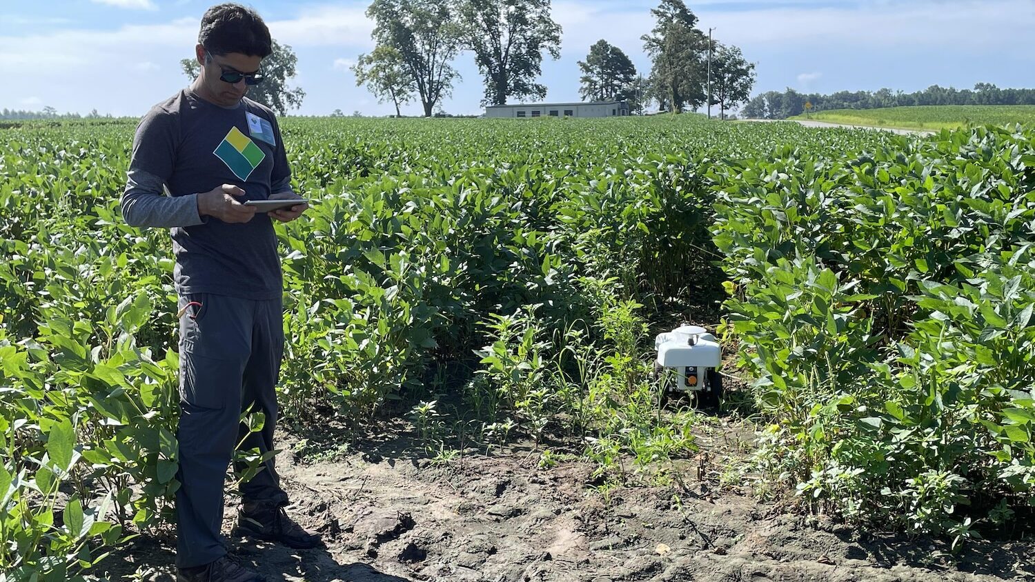 man operates a robot in a farm field