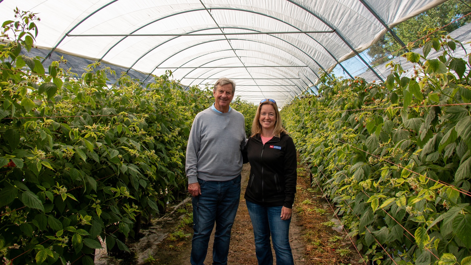 Cal Lewis and Lisa Rayburn in the enclosed protective raspberry tunnels.