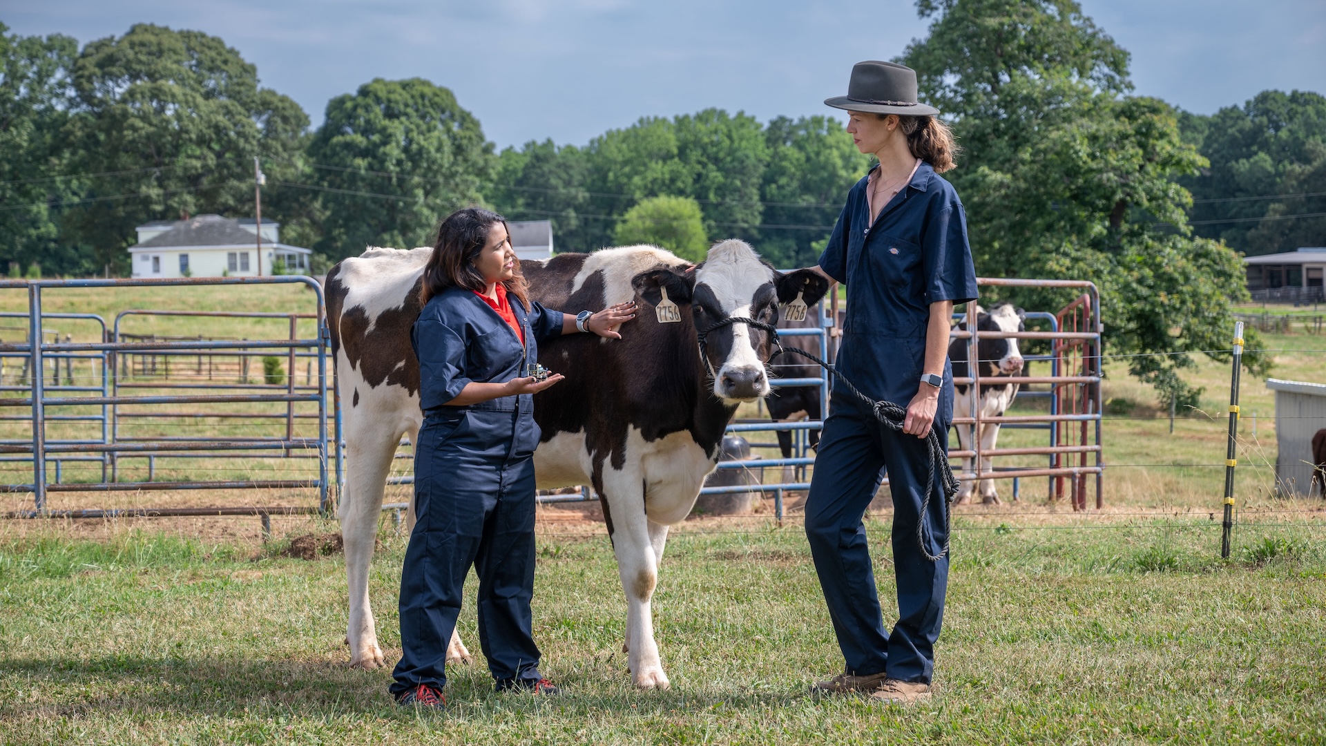 two women stand with a cow on a research farm