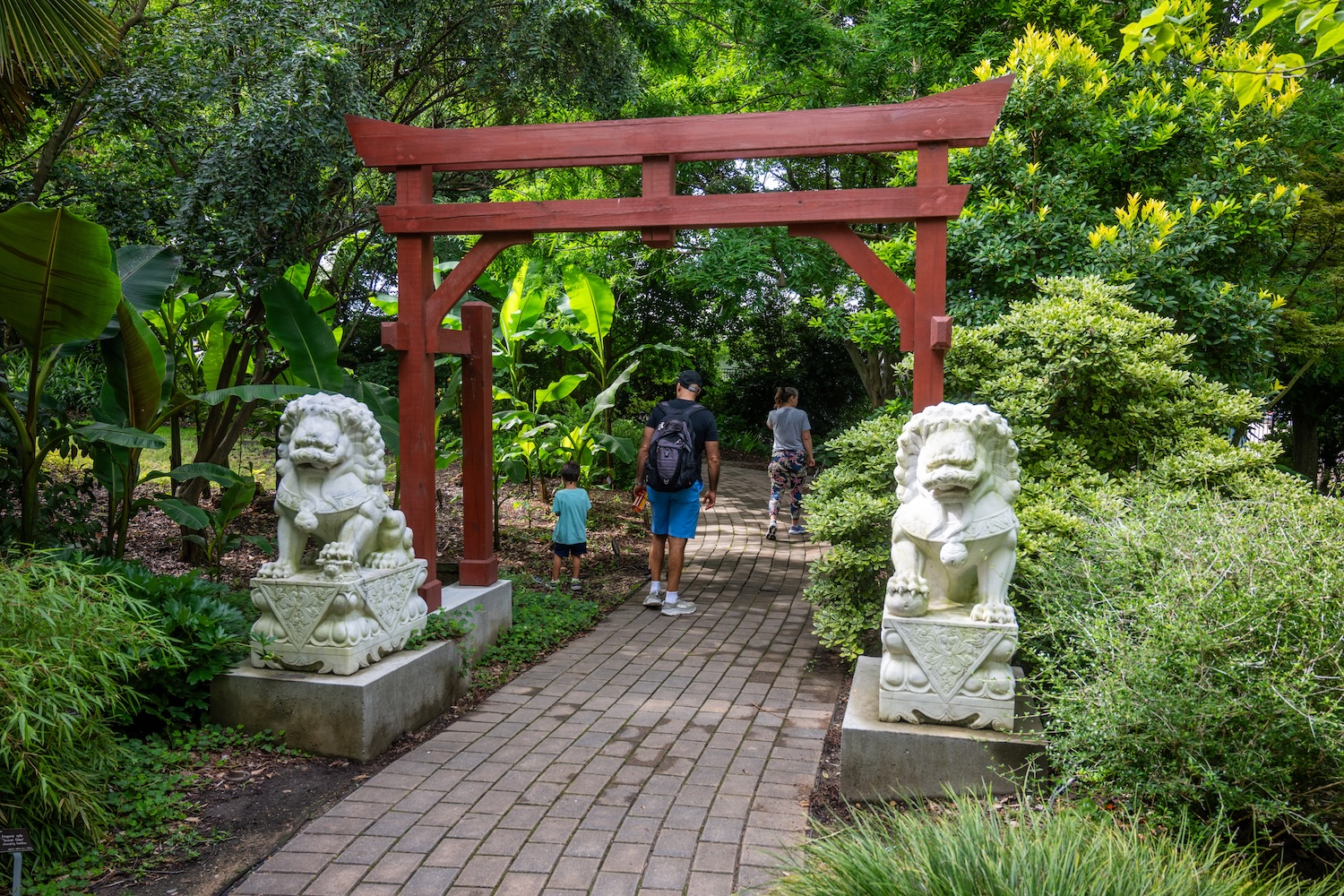 japanese garden