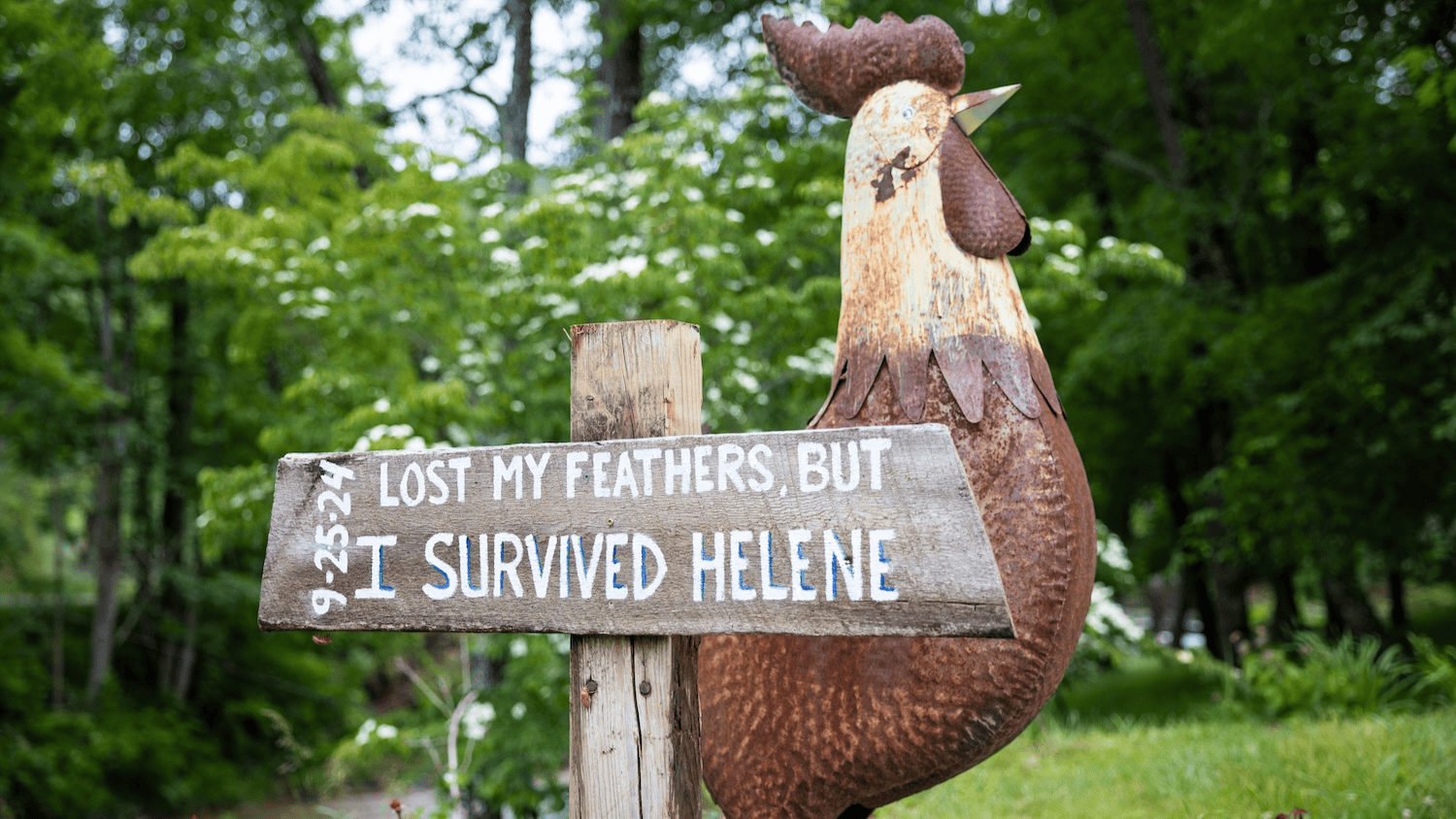 a wooden chicken statue that says I survived Helene
