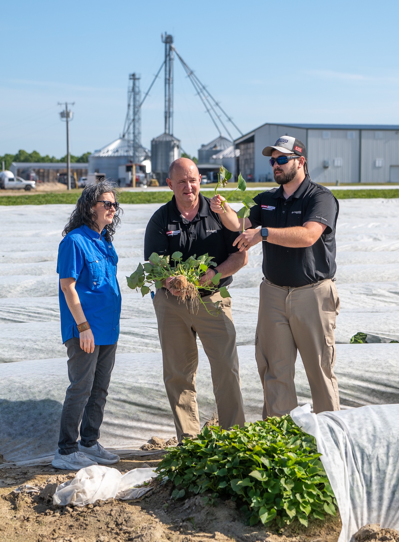one farmer and two Extension agents examine sweet potato leaves on a farm in North Carolina